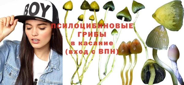 кокаин премиум Ельня